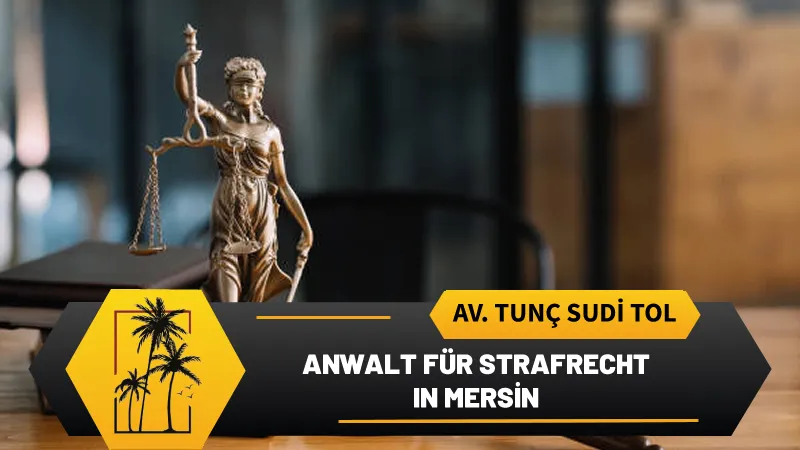 anwalt fur strafrecht in mersin