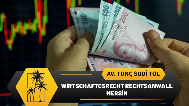 wirtschaftcsrecht rechtsanwall mersin
