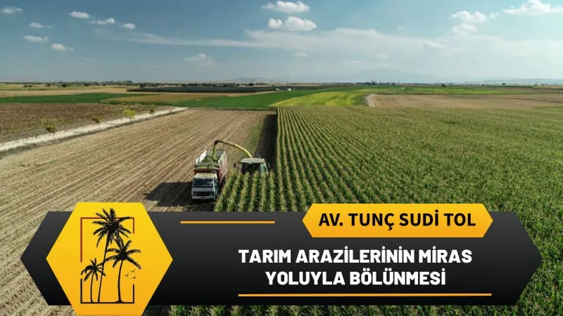 Tarim Arazilerinin Miras Yoluyla Bolunmesi.webp