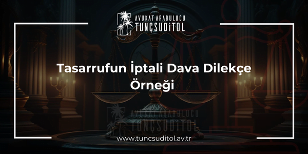 Tasarrufun İptali Dava Dilekçe Örneği 