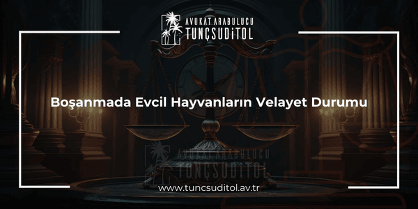 Boşanmada Evcil Hayvanların Velayet Durumu (1)